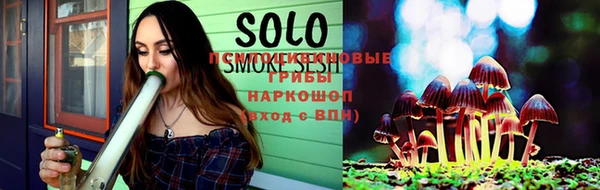 индика Аркадак