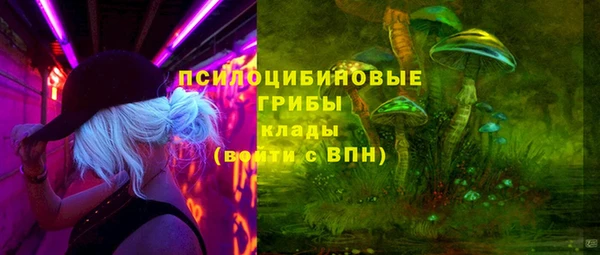PSILOCYBIN Армянск