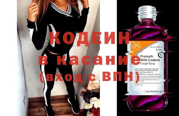 сатива Осинники