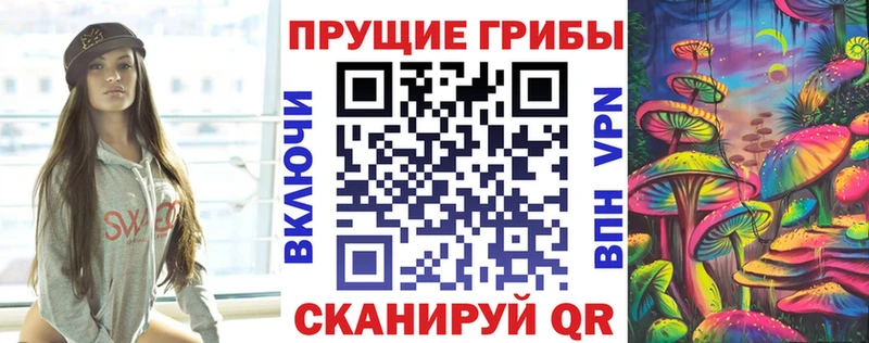 Псилоцибиновые грибы Psilocybe  Сосновка 