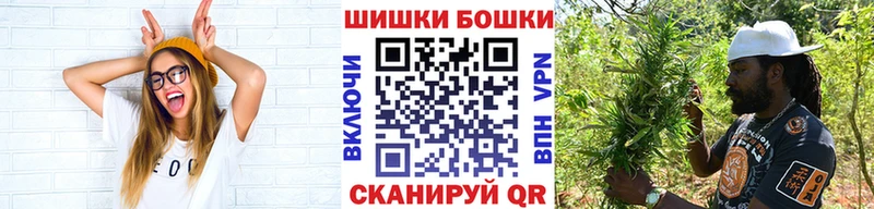 Бошки Шишки сатива  продажа наркотиков  Сосновка 